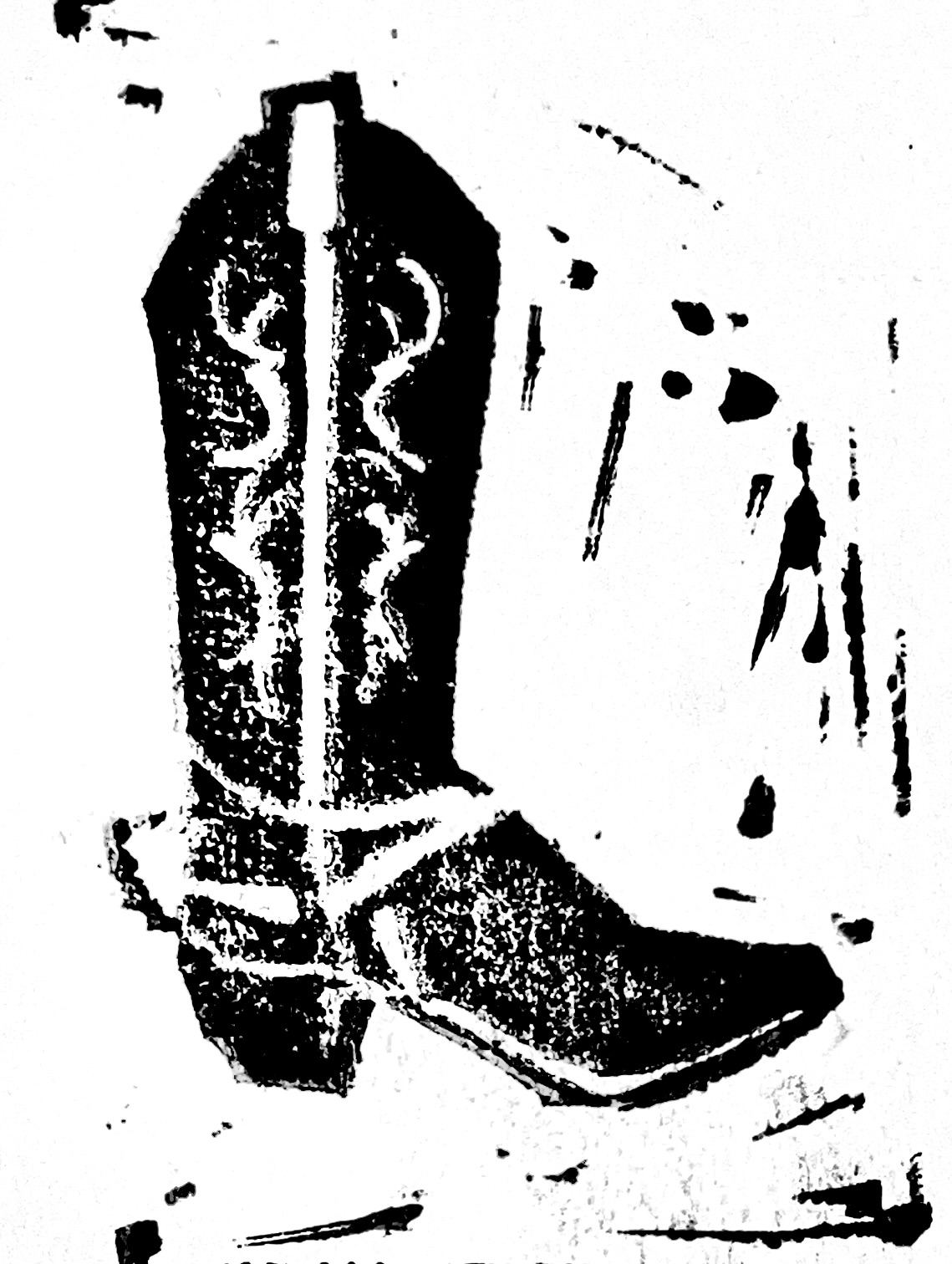 cowboy boot