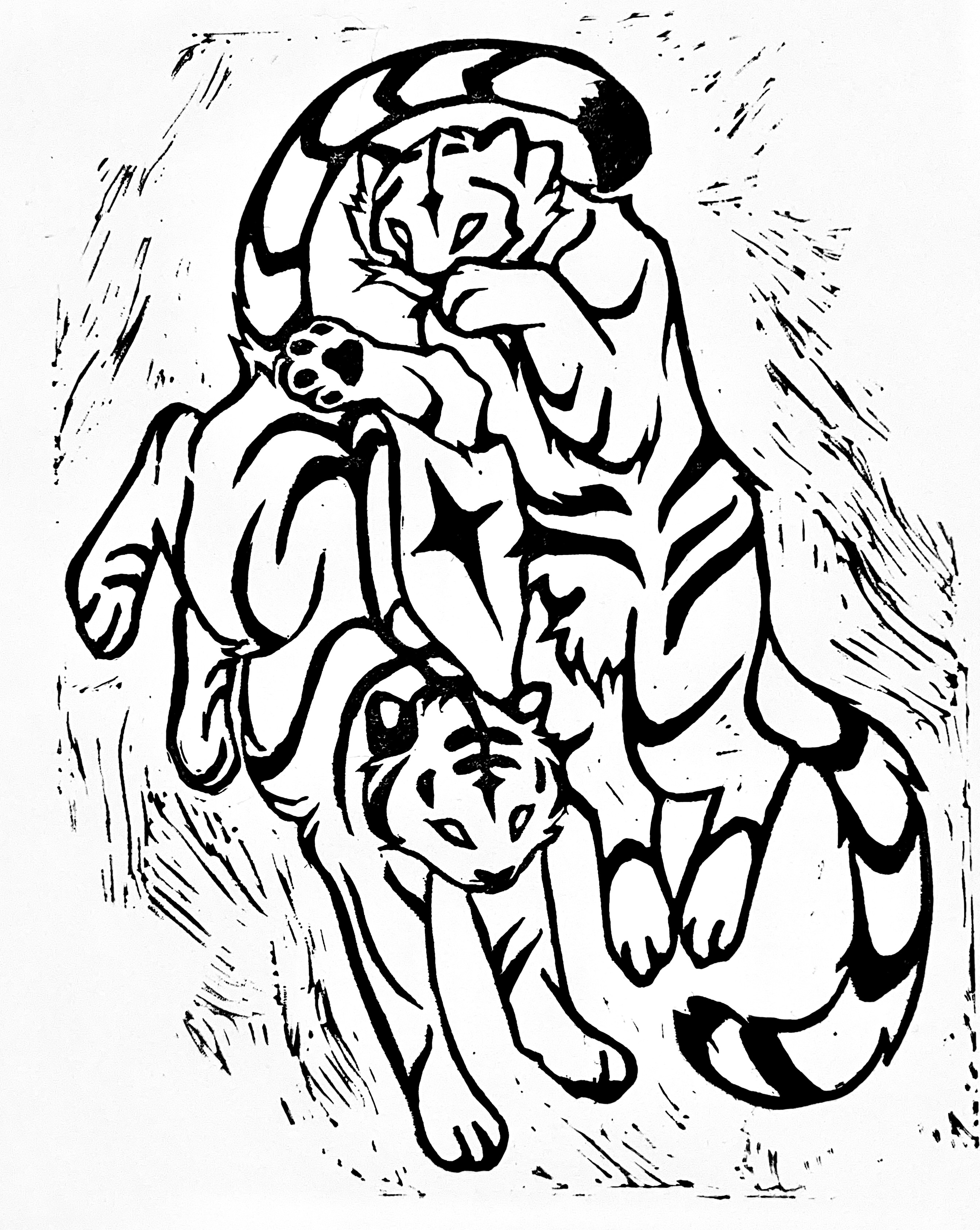 tiger