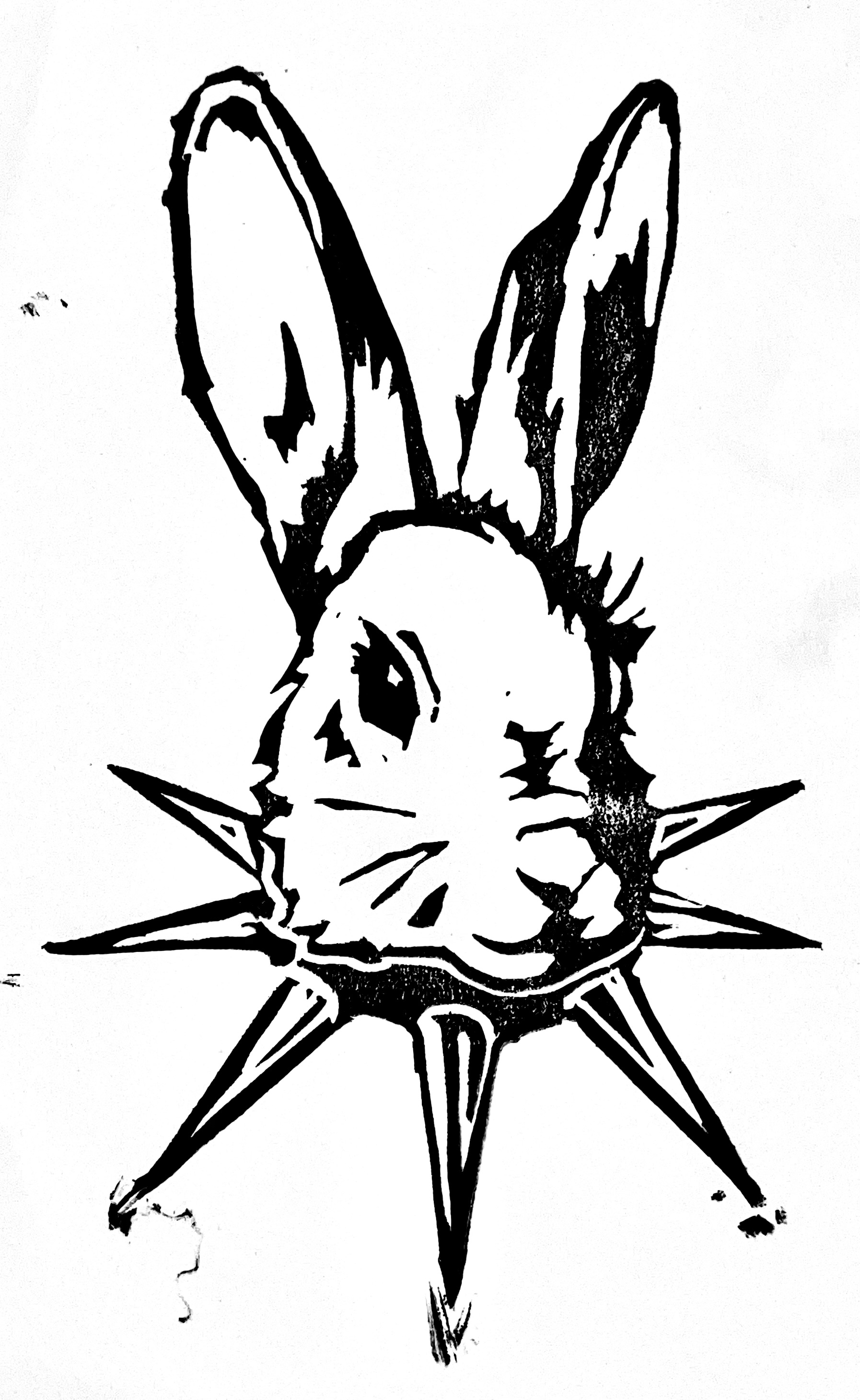 bunny