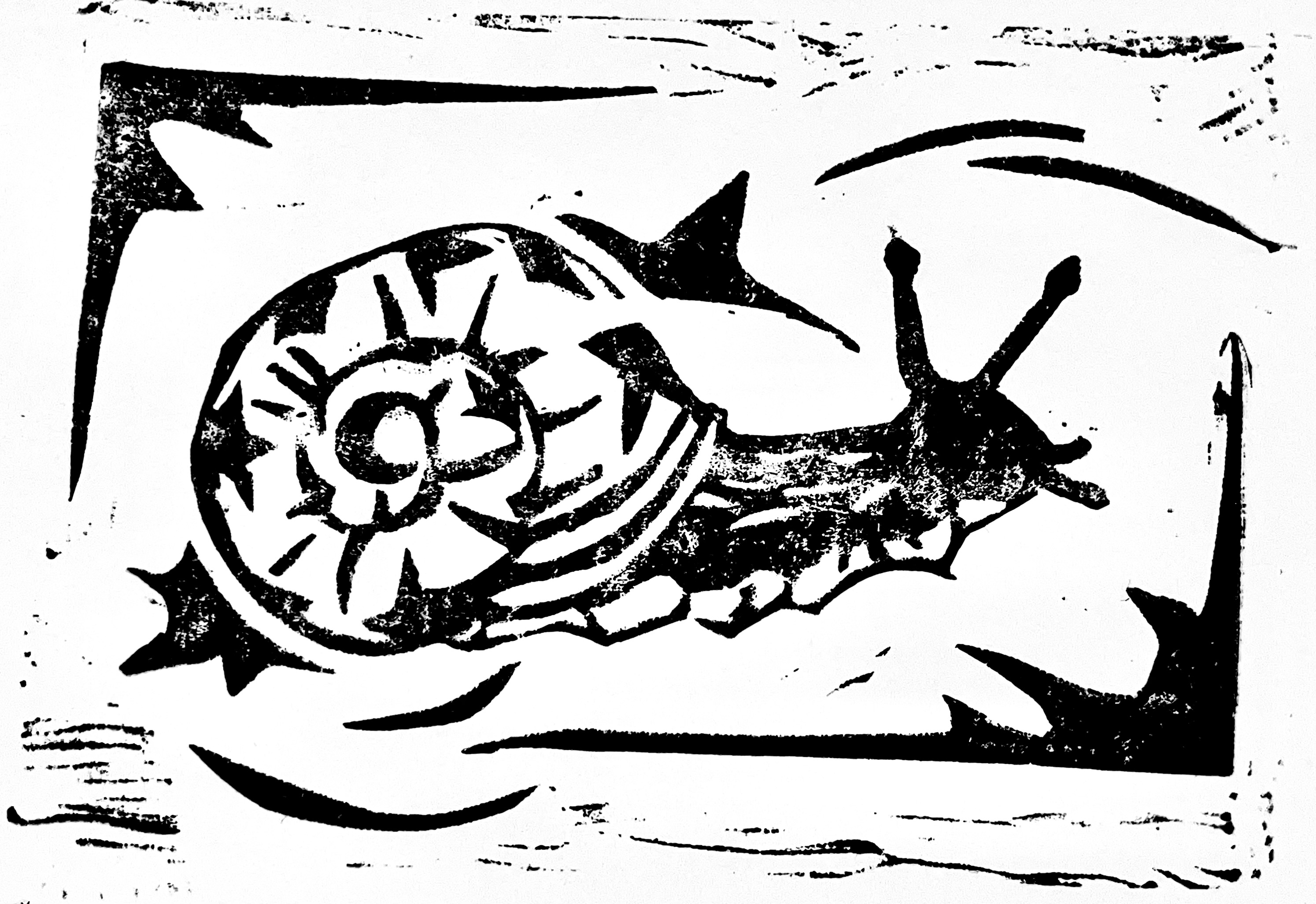 snail
