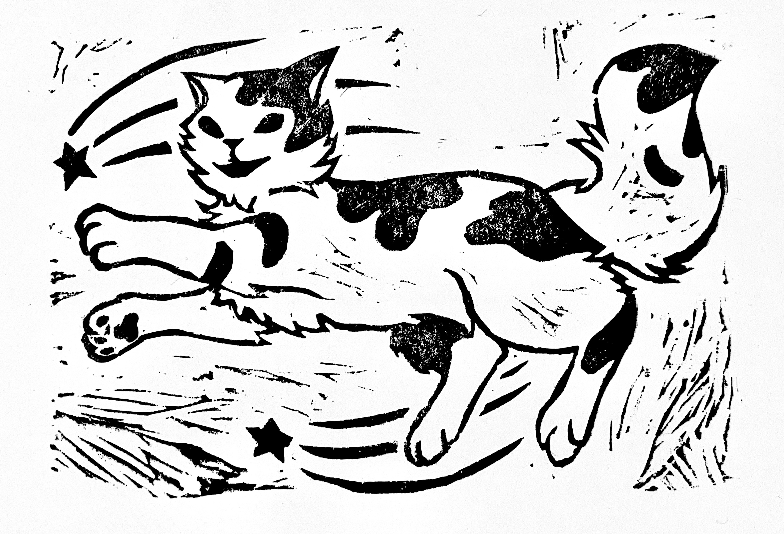 star cat