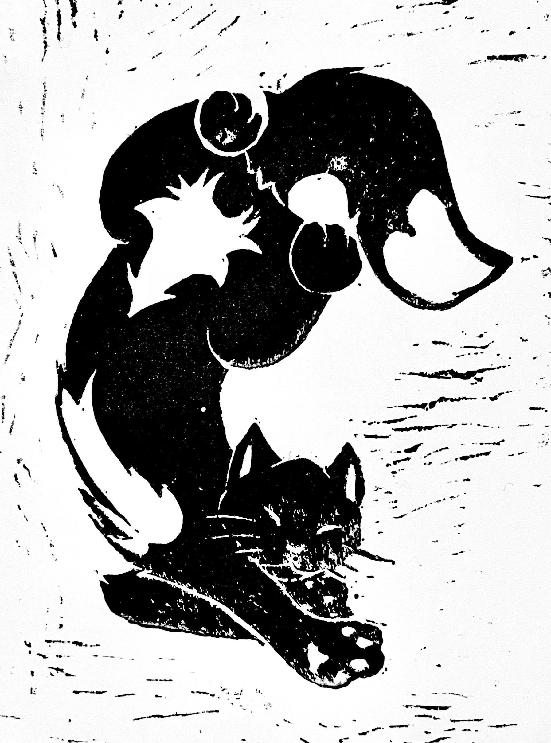swirl cat