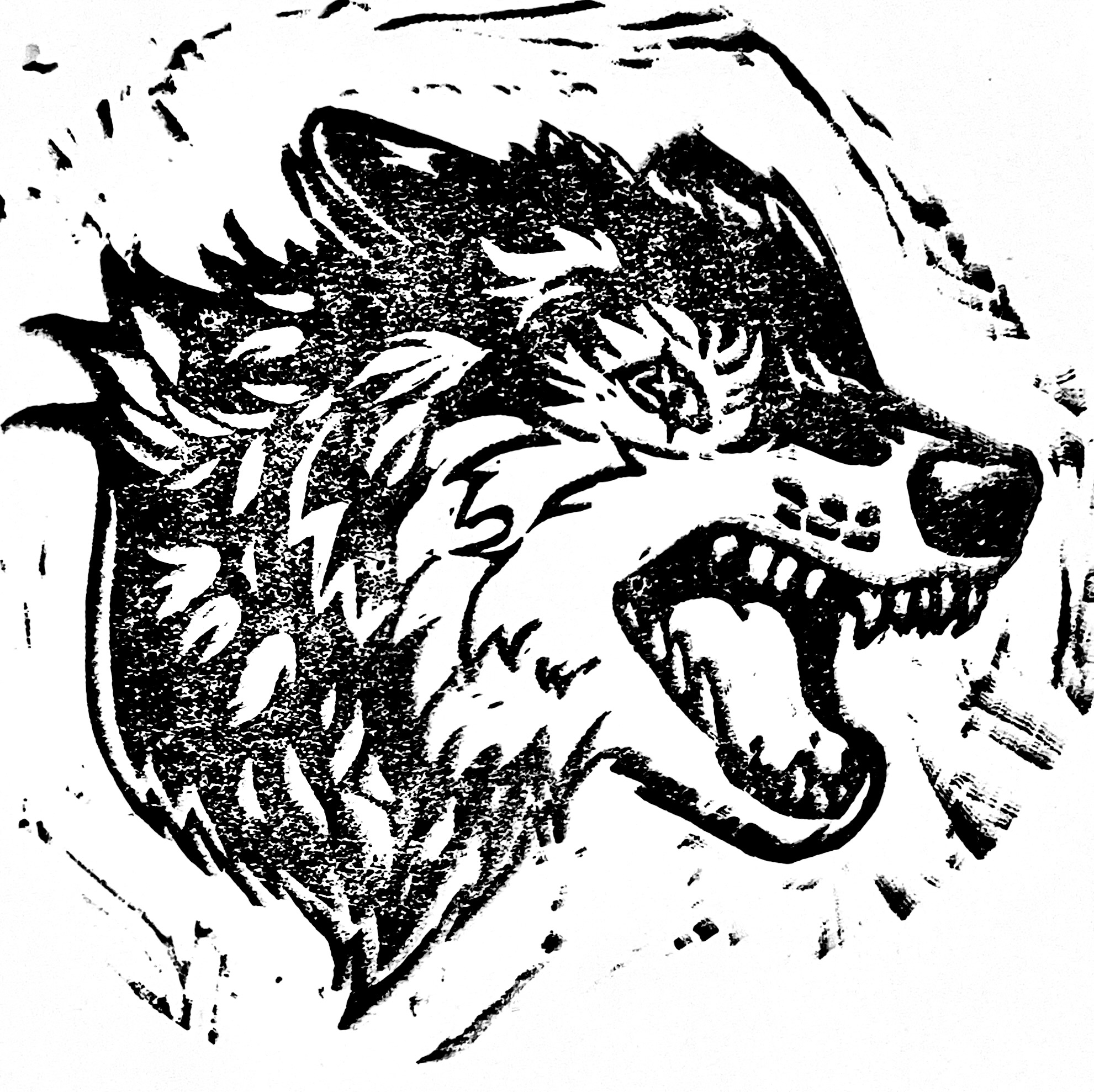 snarling wolf